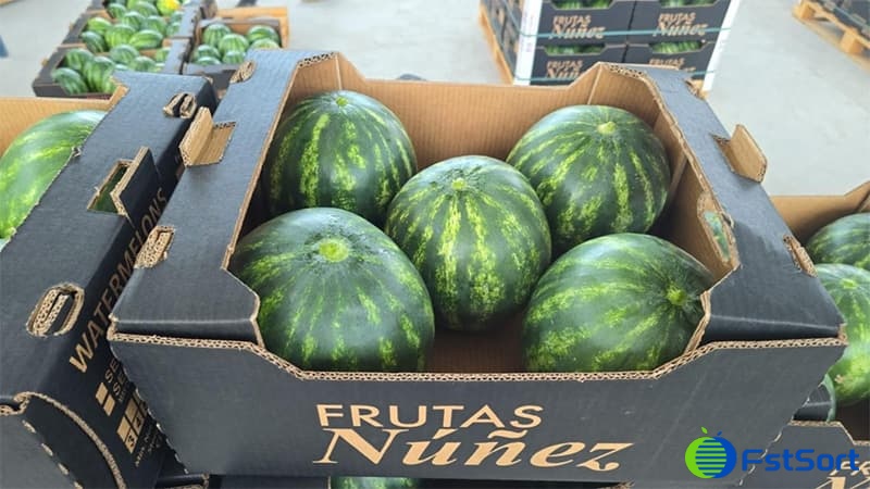 images/1749630787412selección de sandías.jpg